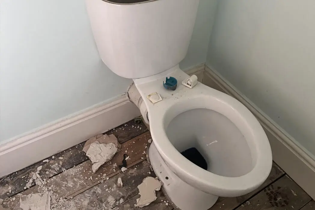 Toilet-Removal
