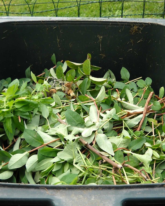 green waste removal service