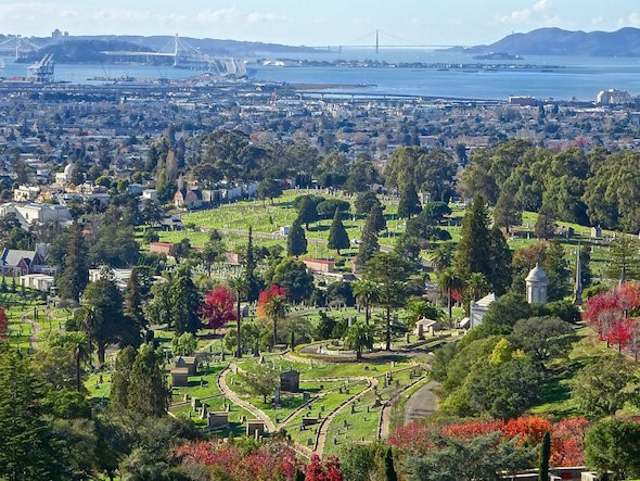 Junk Removal in Piedmont