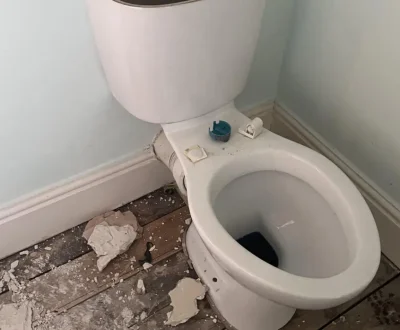 Toilet-Removal